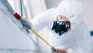 Best Real Estate Pest Inspections  in Oak Grove, OR